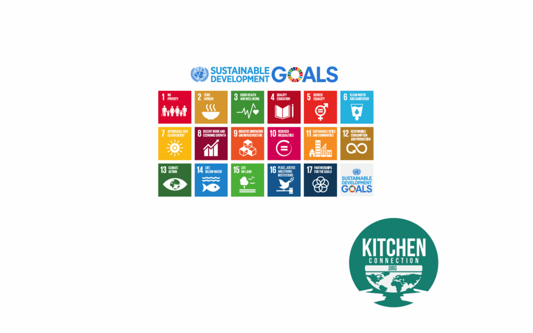 Reflections from our Participation in the 71st United Nations General Assembly