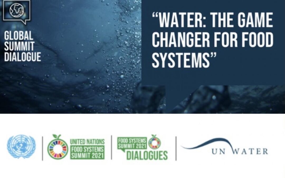 Water: The Game Changer for Food Systems – a Global Summit Dialogue
