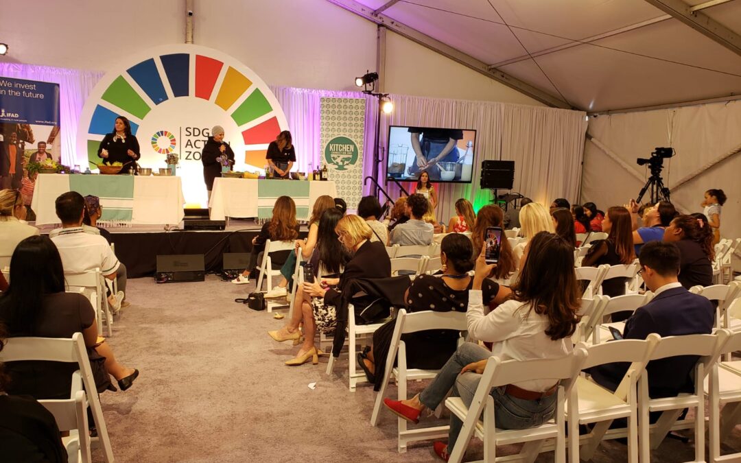 United Nations – Climate Summit