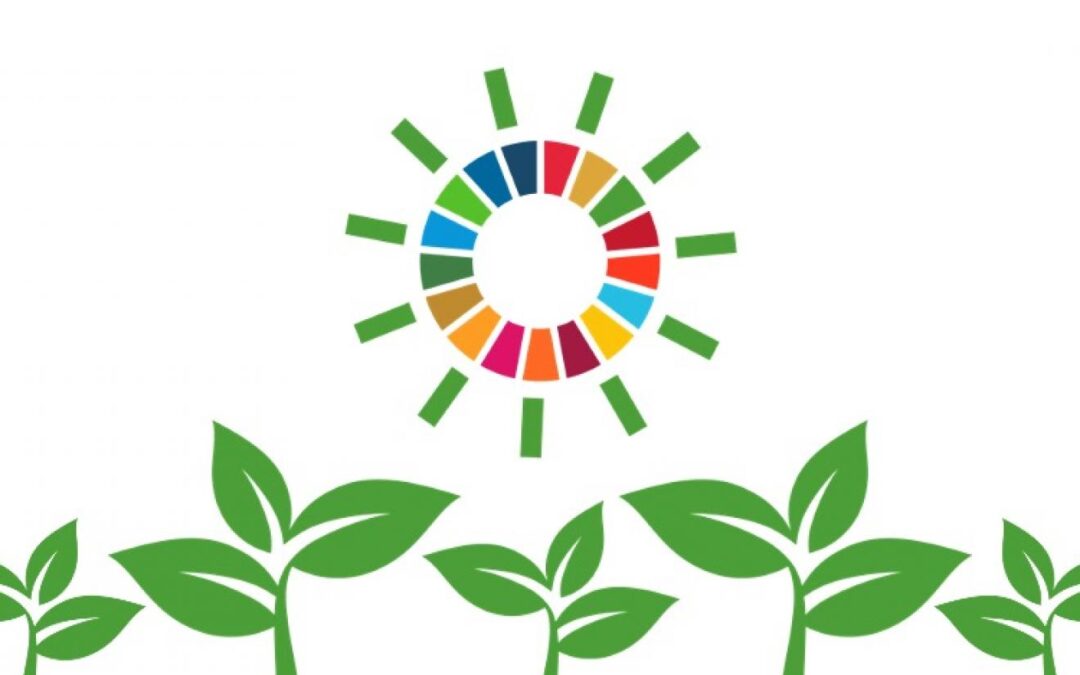 Producer Public Forums