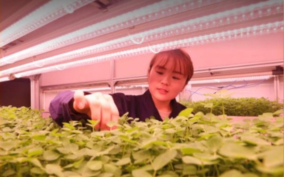 Global Food Security Symposium 2021